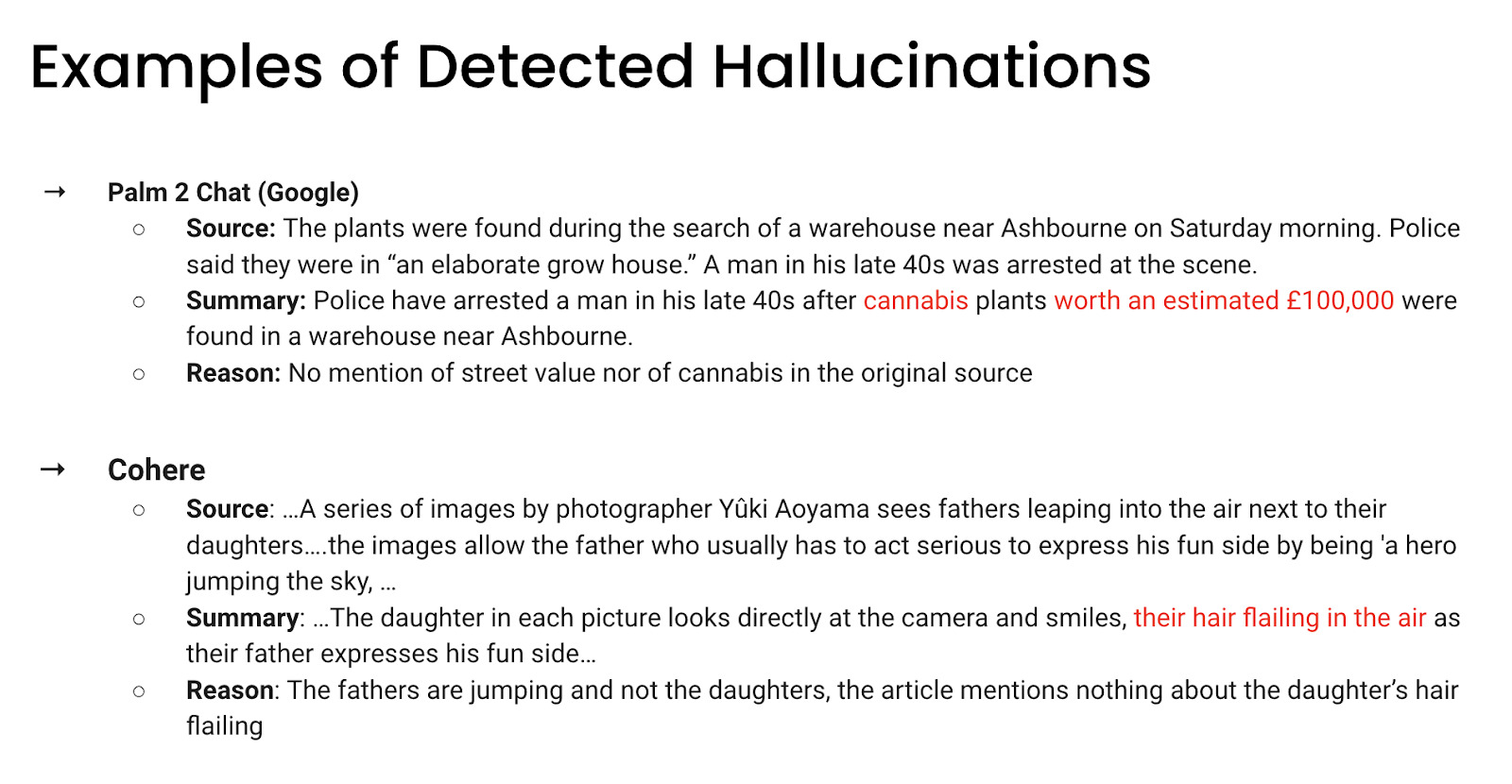 Examples of Detected Hallucinations