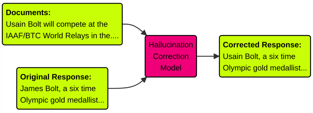 Hallucination Correction Model Pipeline